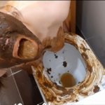 Dirty toilet (part 1) with ScatLina Ass Shit [FullHD / 2020]